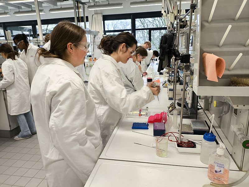 Foto zum Beitrag „Praktische Forschungserfahrung: Die BG13 im Alfried-Krupp-Schülerlabor“