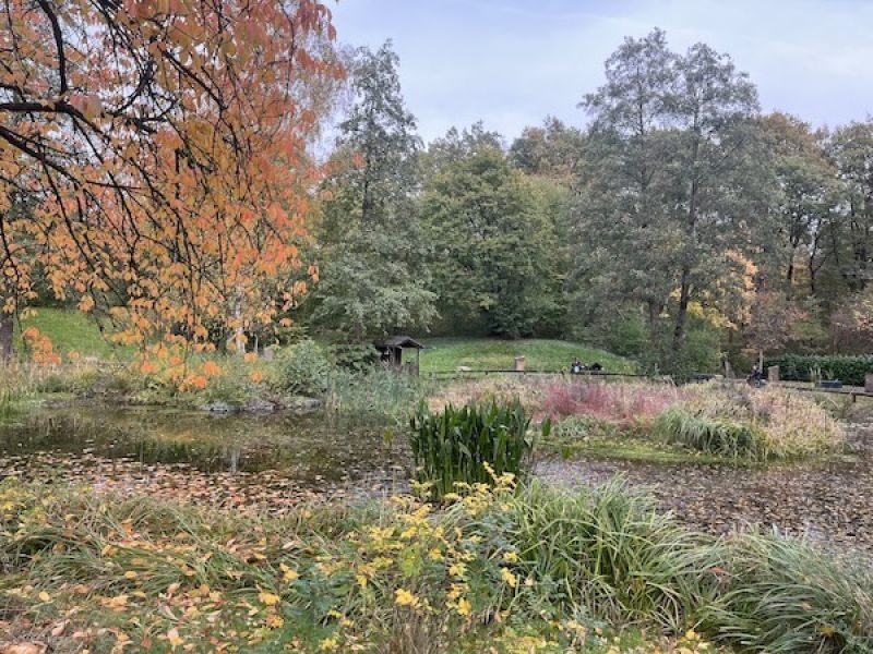 Foto zum Beitrag „Ein Lernort für Vielfalt: Exkursion in den Garten der Religionen“