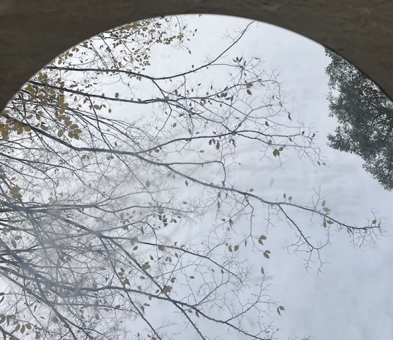 Foto zum Beitrag „Ein Lernort für Vielfalt: Exkursion in den Garten der Religionen“